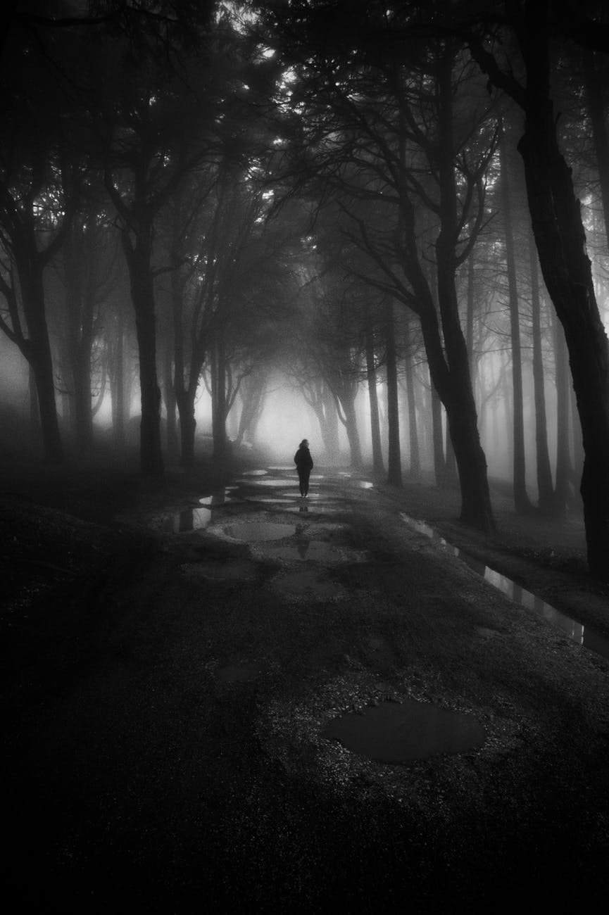 Greyscale photography of person walking between trees